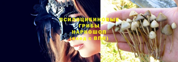 apvp Балахна