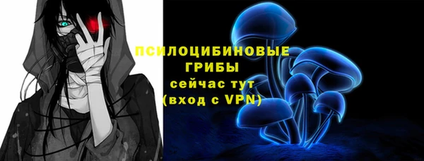 ПСИЛОЦИБИНОВЫЕ ГРИБЫ Балабаново
