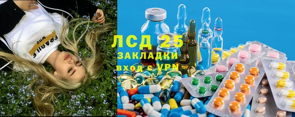 ПСИЛОЦИБИНОВЫЕ ГРИБЫ Балабаново