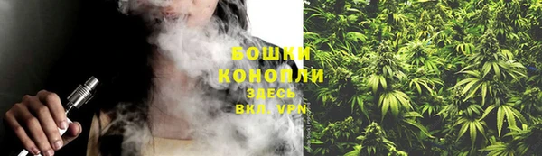 ПСИЛОЦИБИНОВЫЕ ГРИБЫ Балабаново